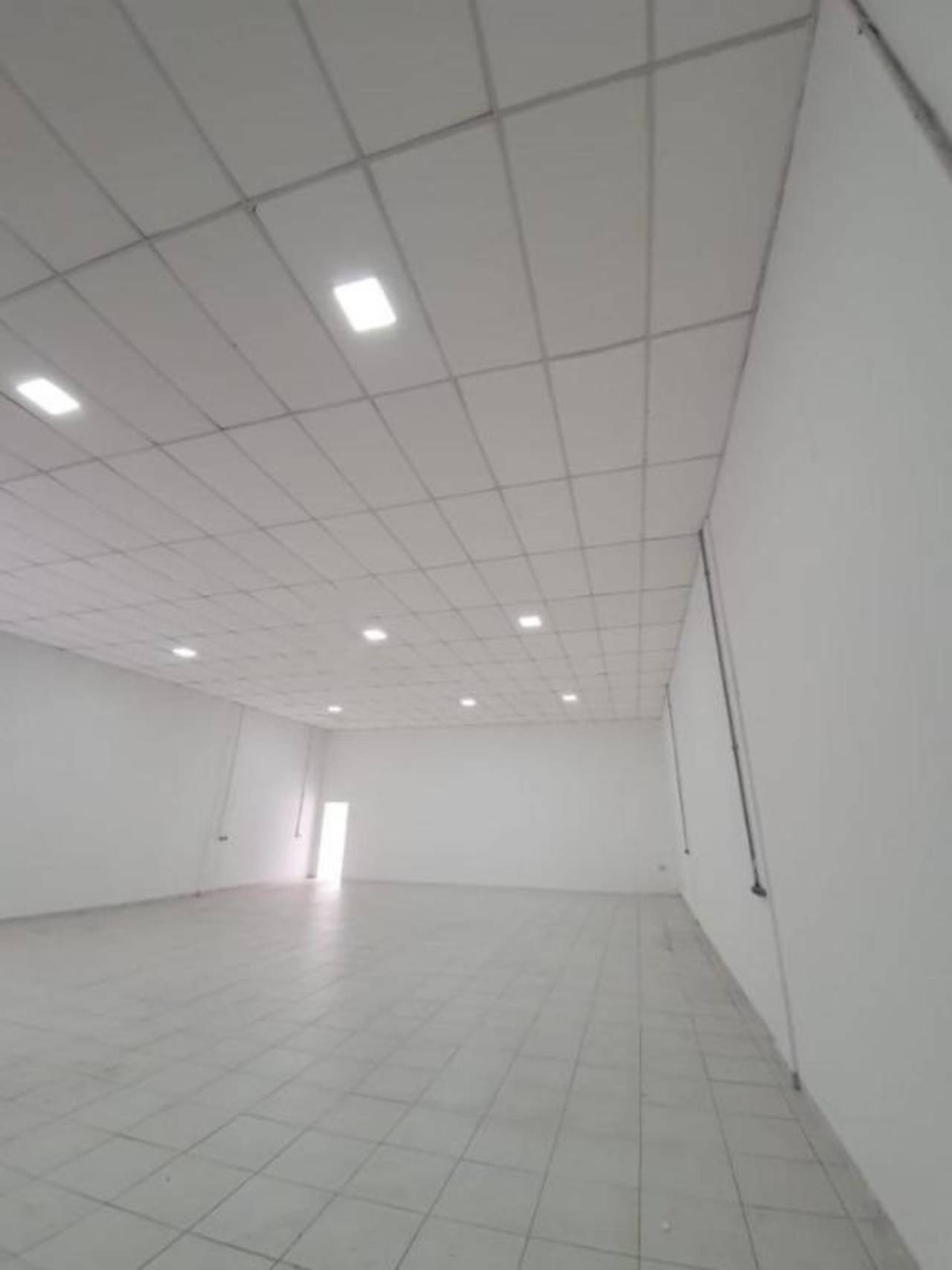 Prédio Inteiro, 312 m² - Foto 5