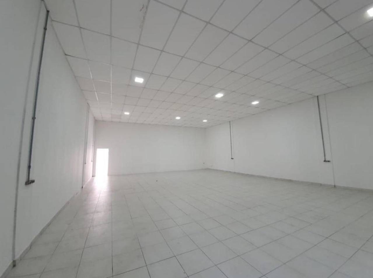 Prédio Inteiro, 312 m² - Foto 11