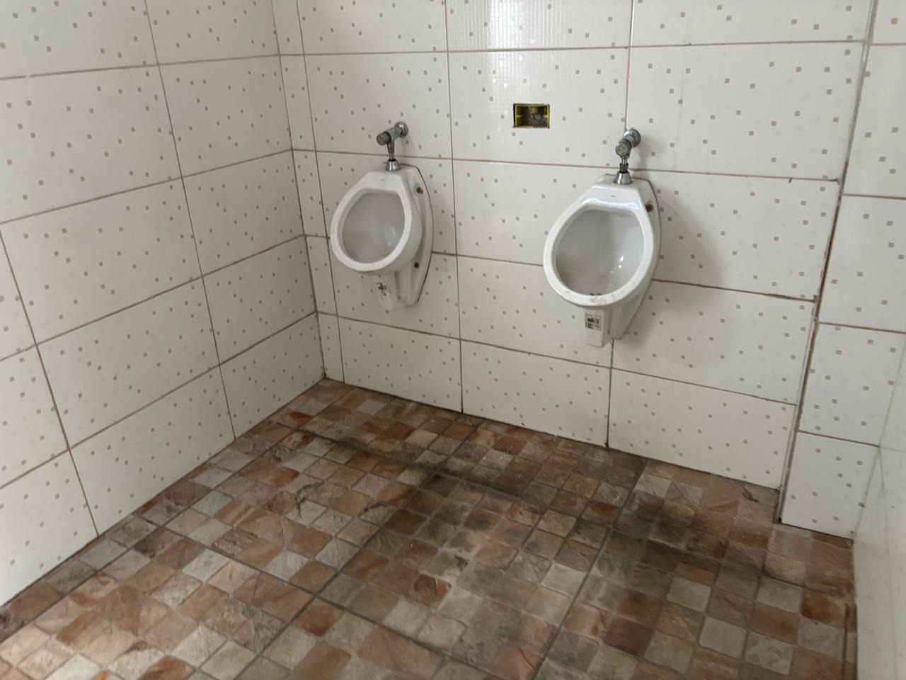 Depósito-Galpão, 2500 m² - Foto 13