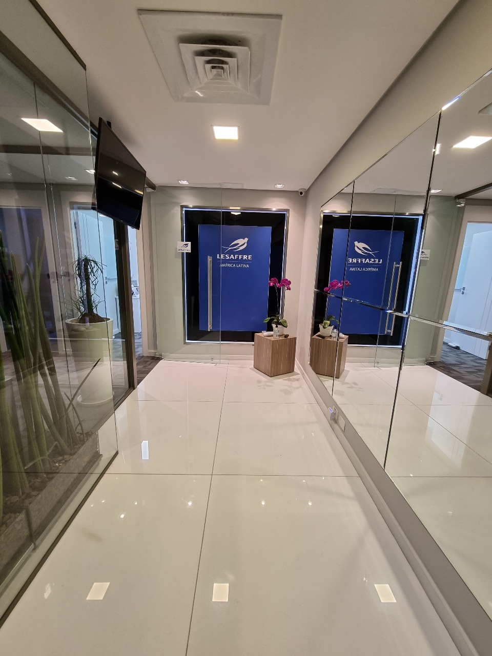 Sala-Conjunto, 225 m² - Foto 14