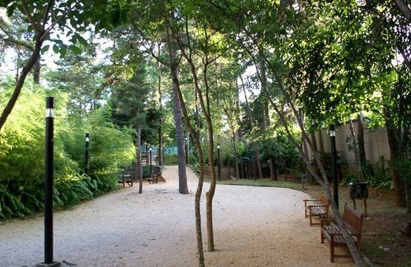 Apartamento, 3 quartos, 178 m² - Foto 18