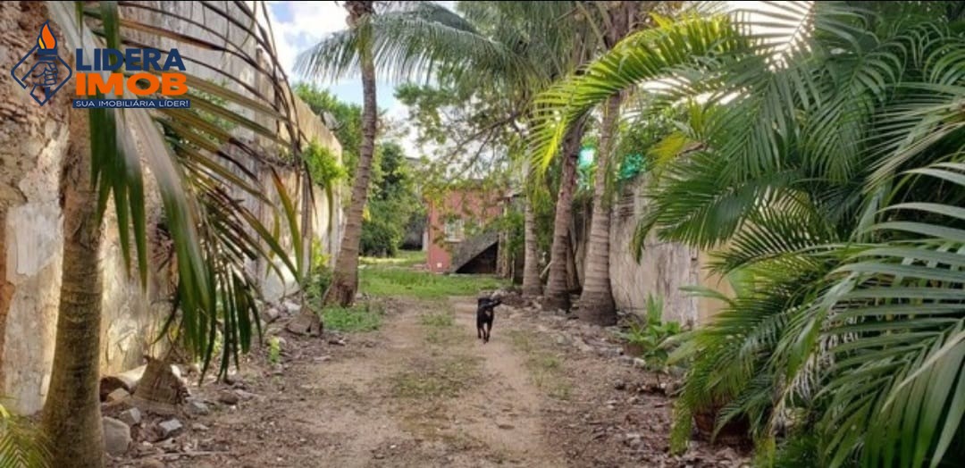 Terreno, 1345 m² - Foto 10