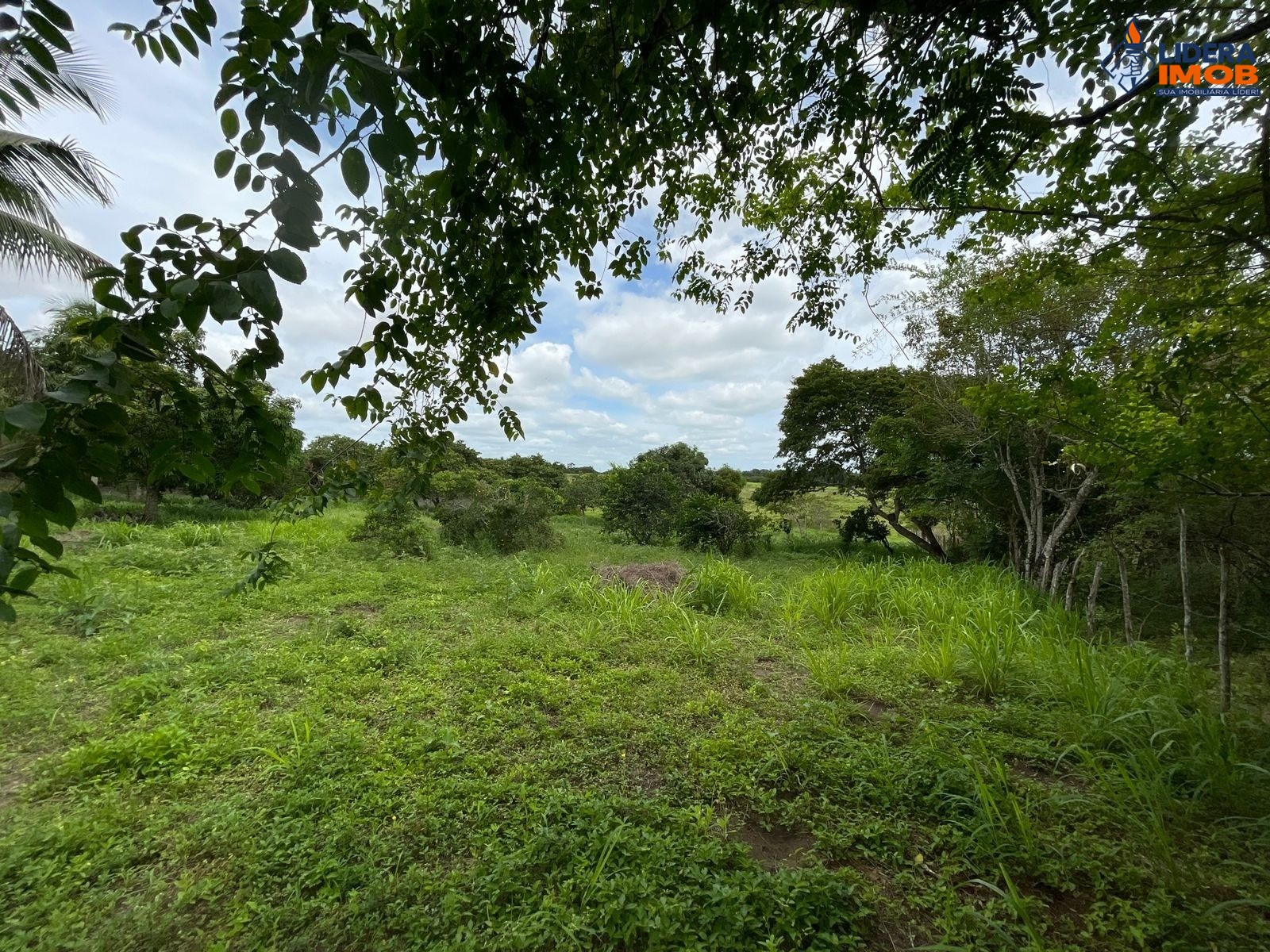 Chácara, 2 quartos - Foto 15
