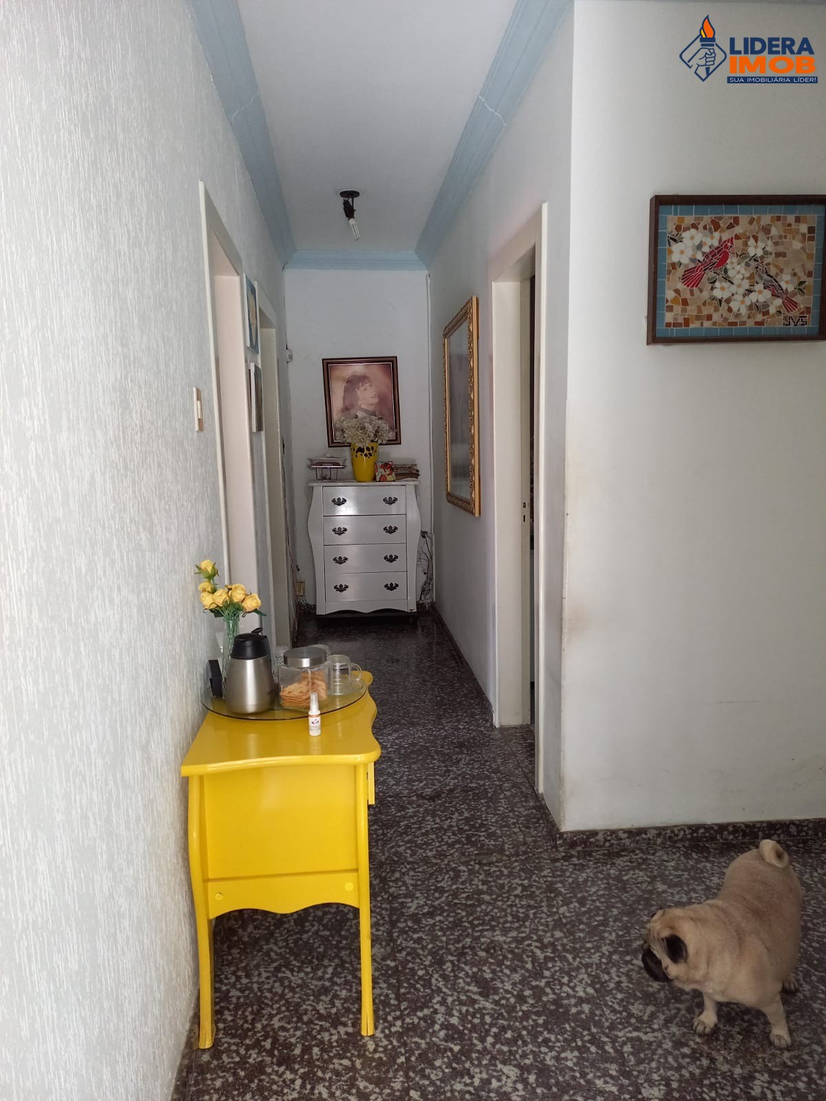 Casa, 2 quartos, 486 m² - Foto 8