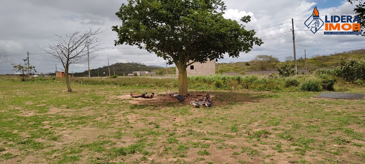 Terreno, 200 m² - Foto 18