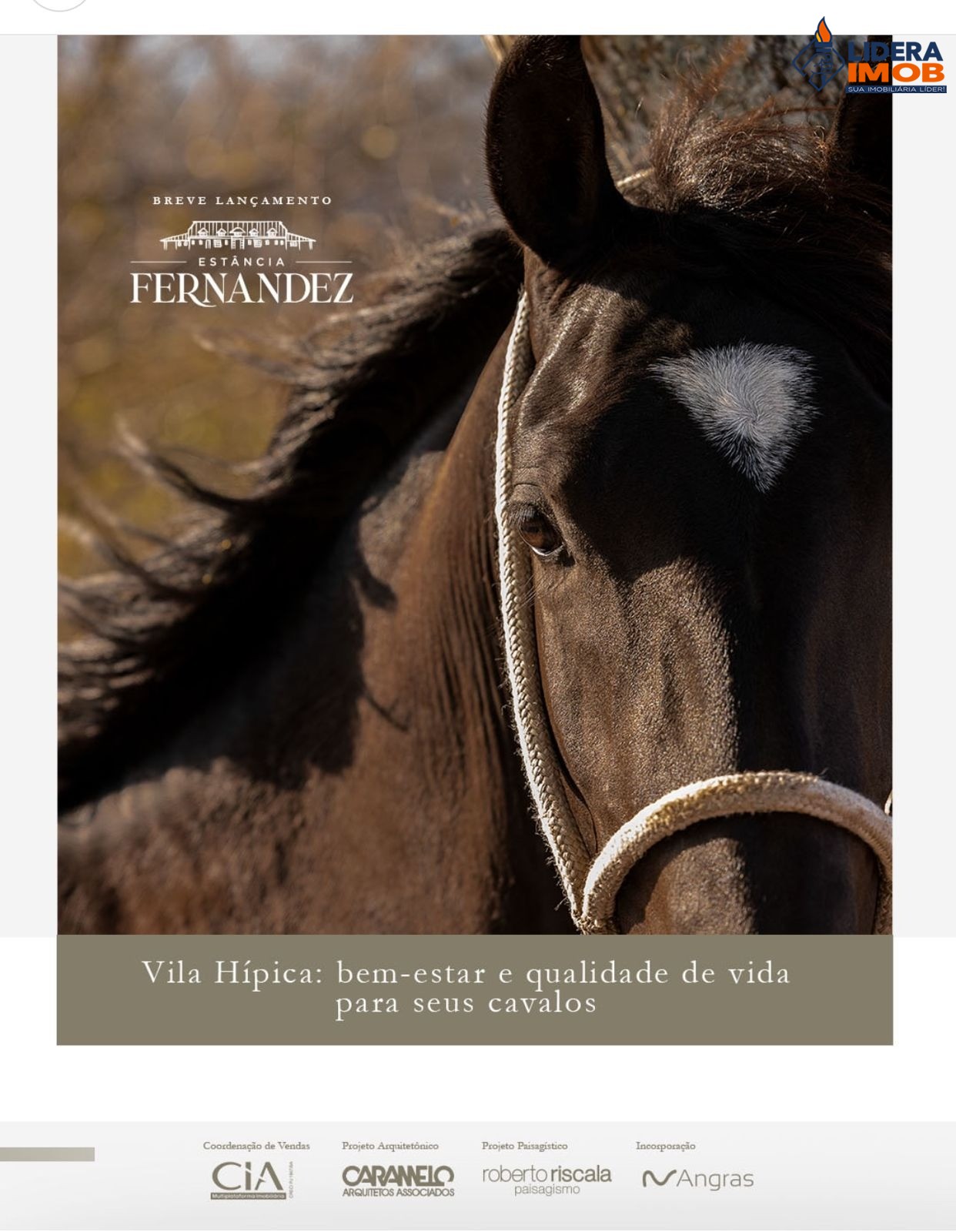 Terreno, 600 m² - Foto 8