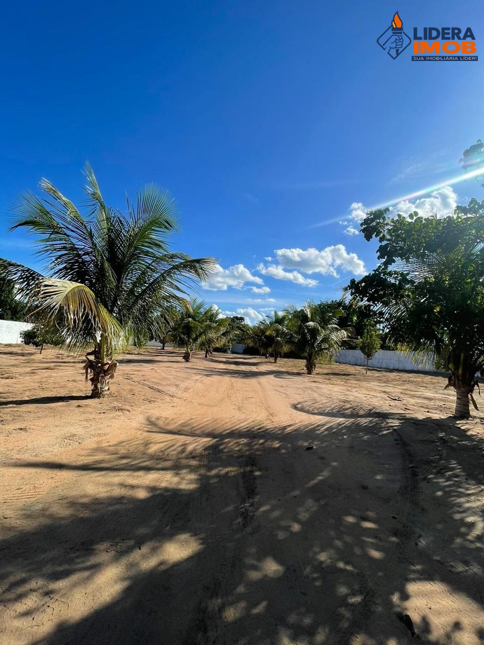 Chácara, 3 quartos, 4400 m² - Foto 8