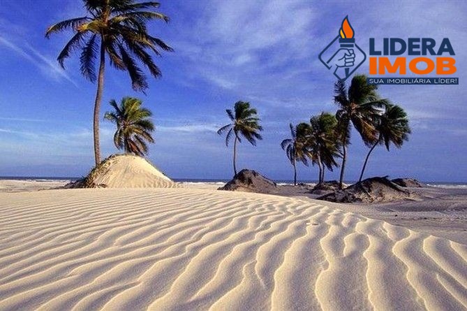 Terreno, 5000 m² - Foto 3