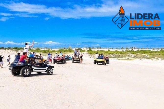 Terreno, 5000 m² - Foto 4