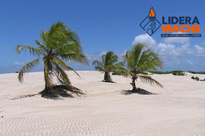 Terreno, 5000 m² - Foto 5