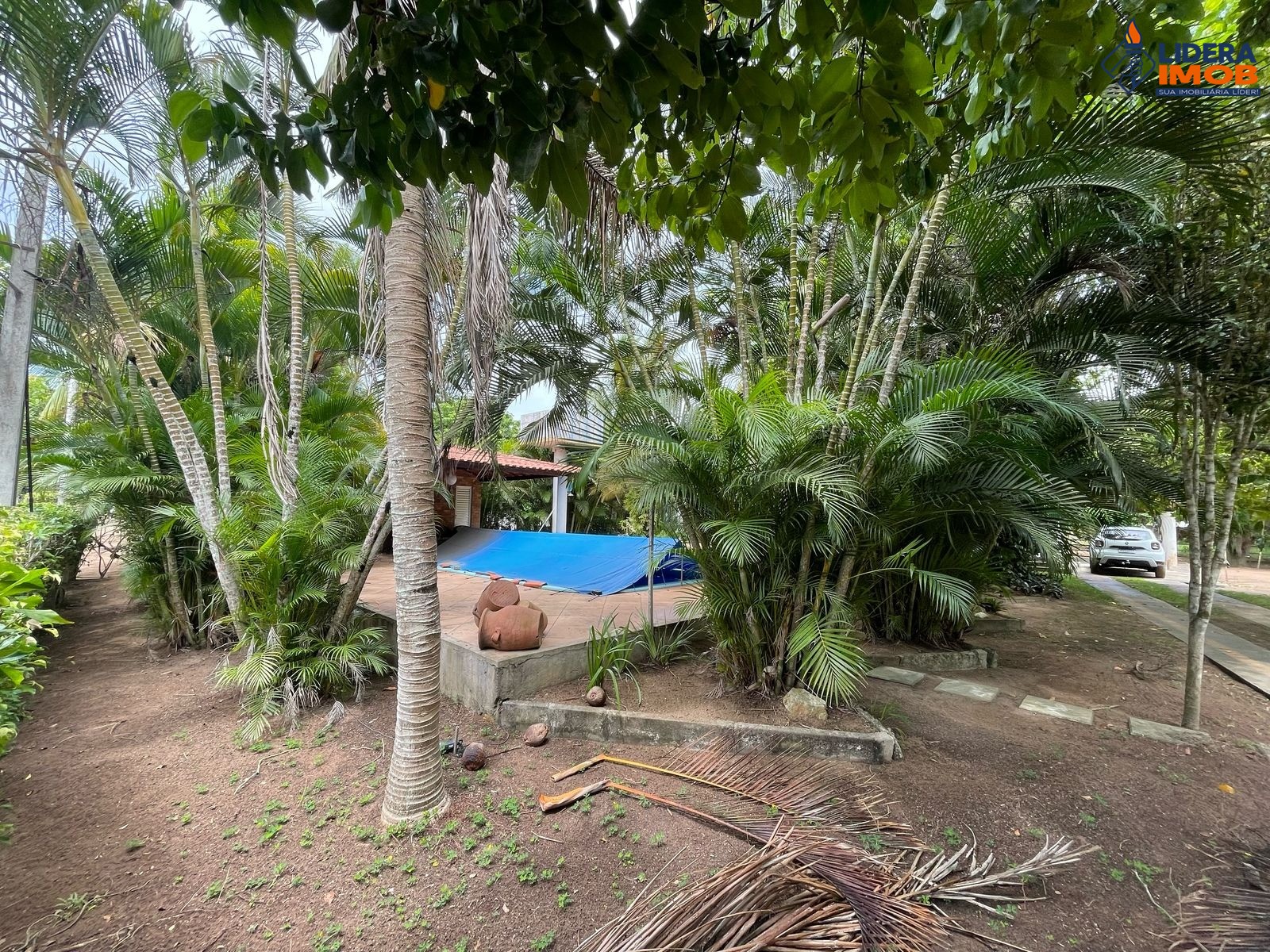 Chácara, 2 quartos, 3933 m² - Foto 35