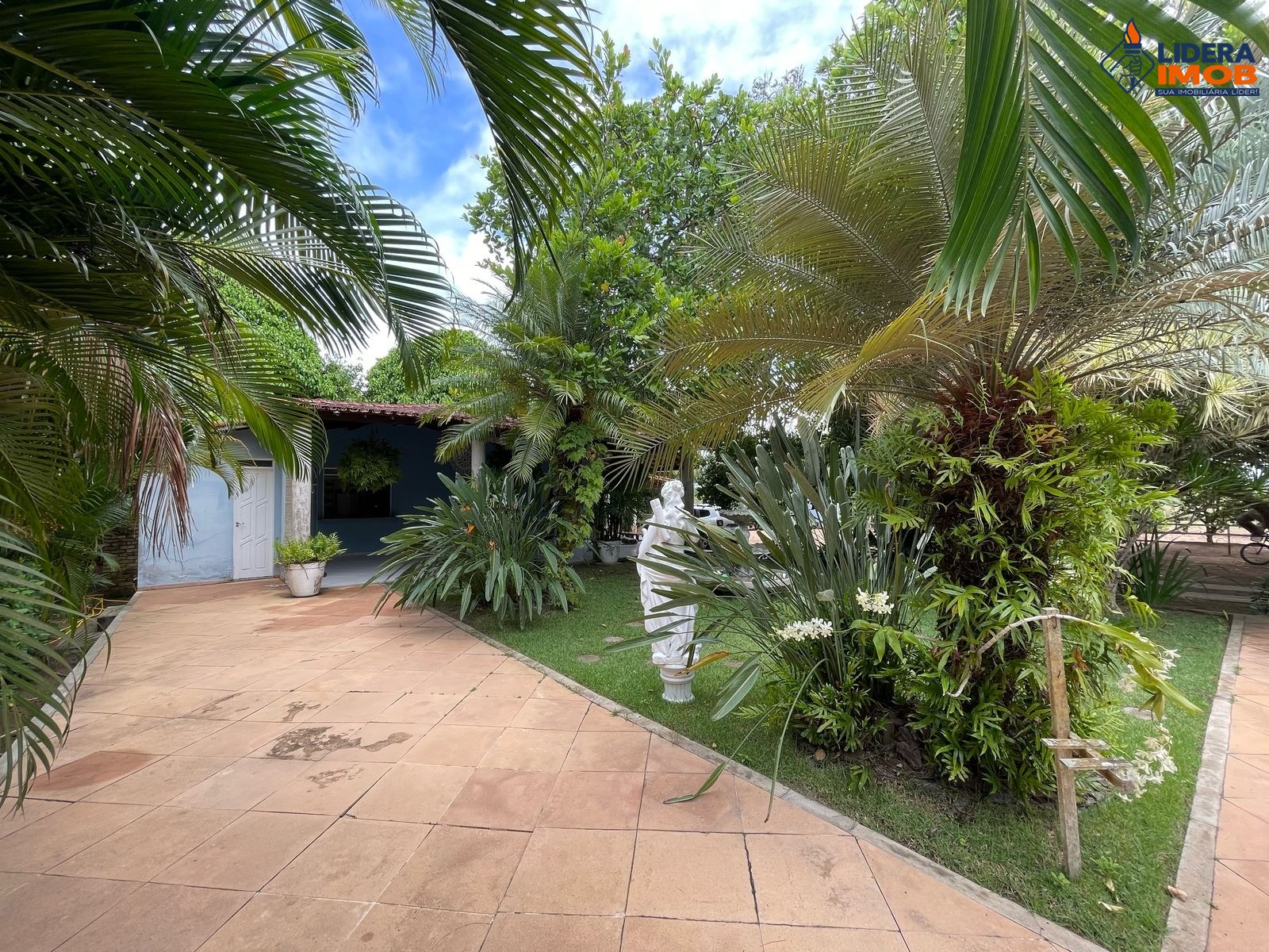 Chácara, 2 quartos, 3933 m² - Foto 31