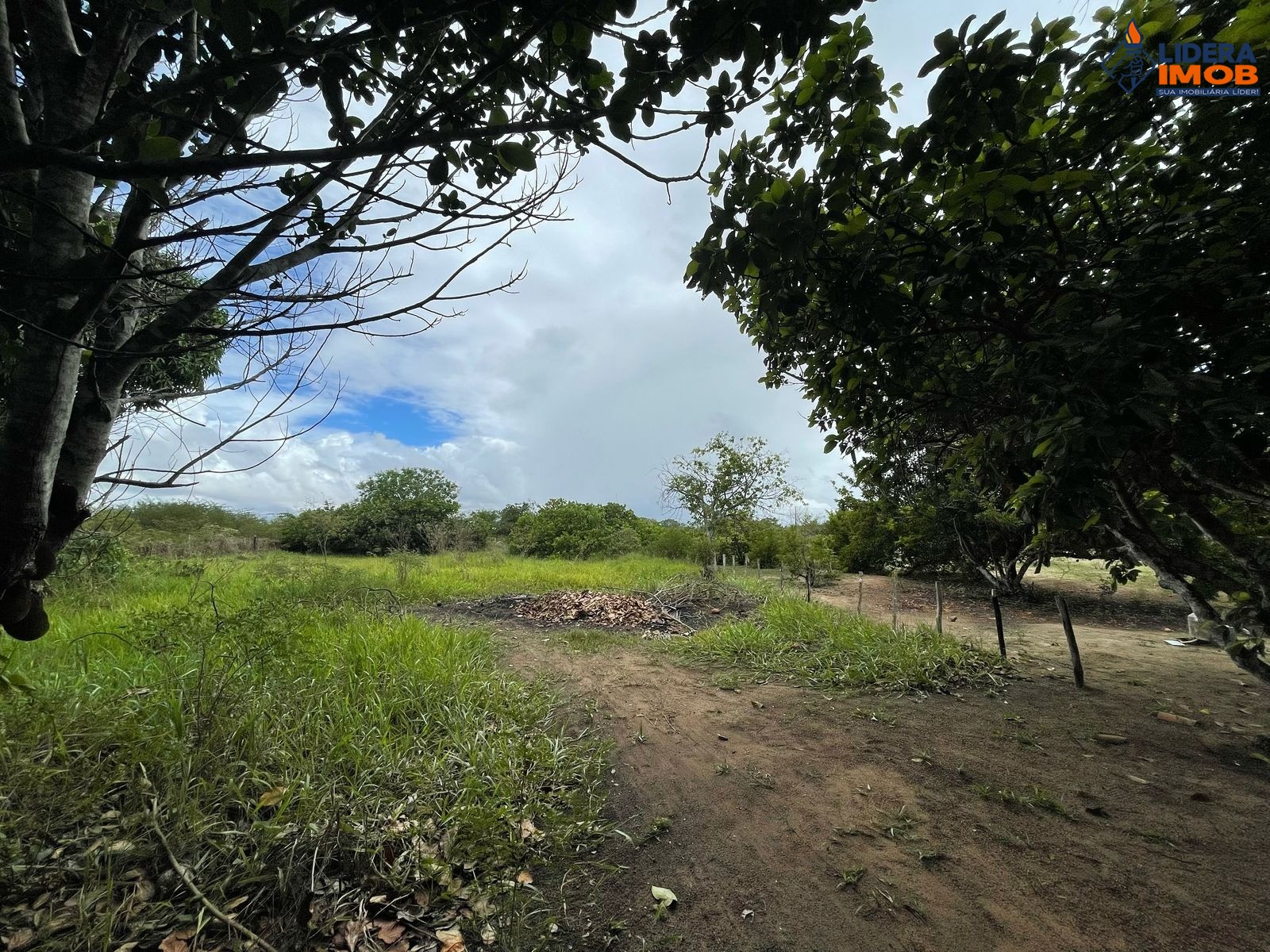 Chácara, 2 quartos, 3933 m² - Foto 26