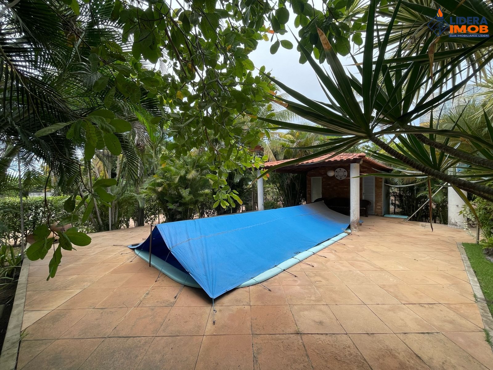 Chácara, 2 quartos, 3933 m² - Foto 33