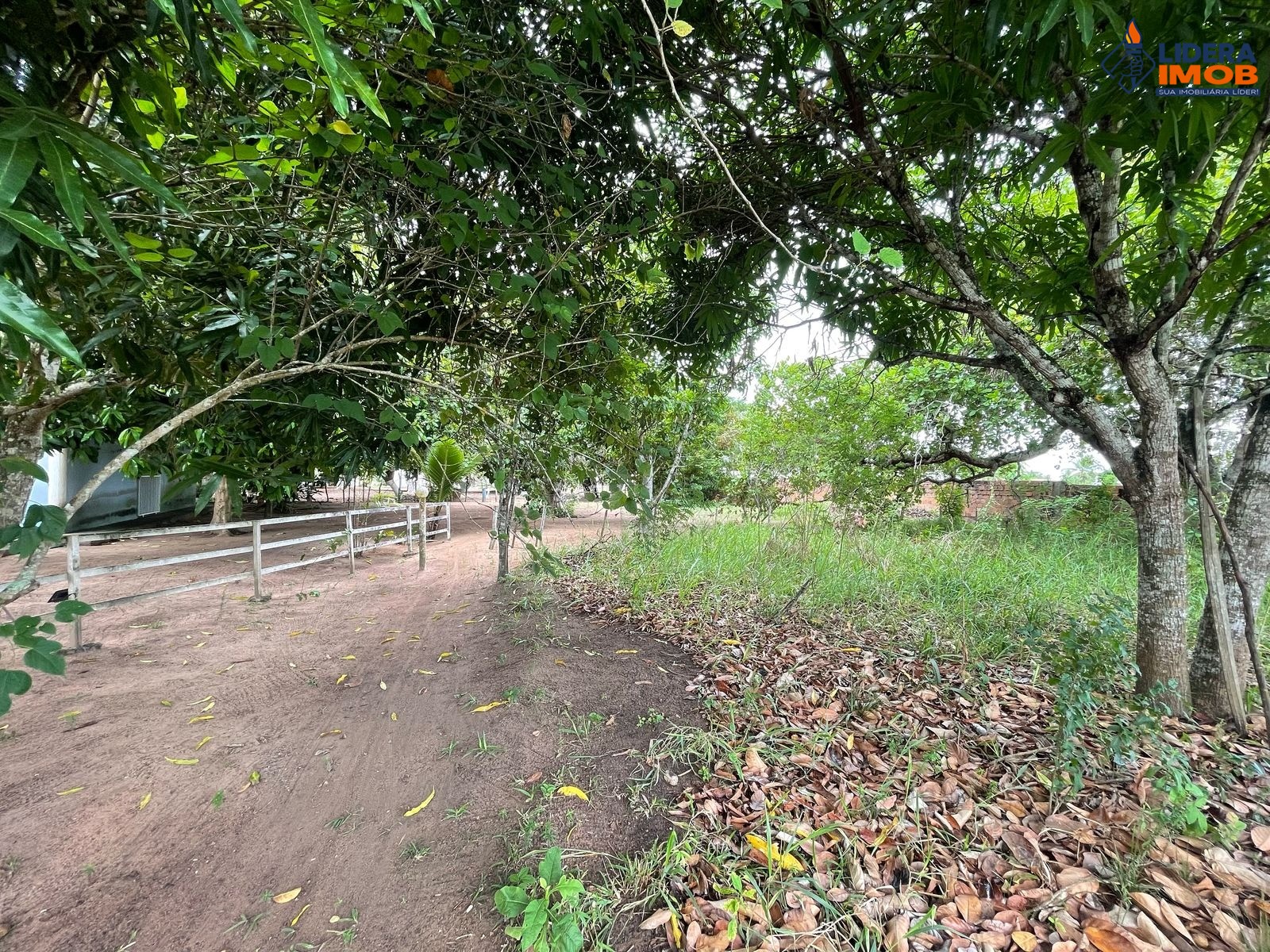 Chácara, 2 quartos, 3933 m² - Foto 25