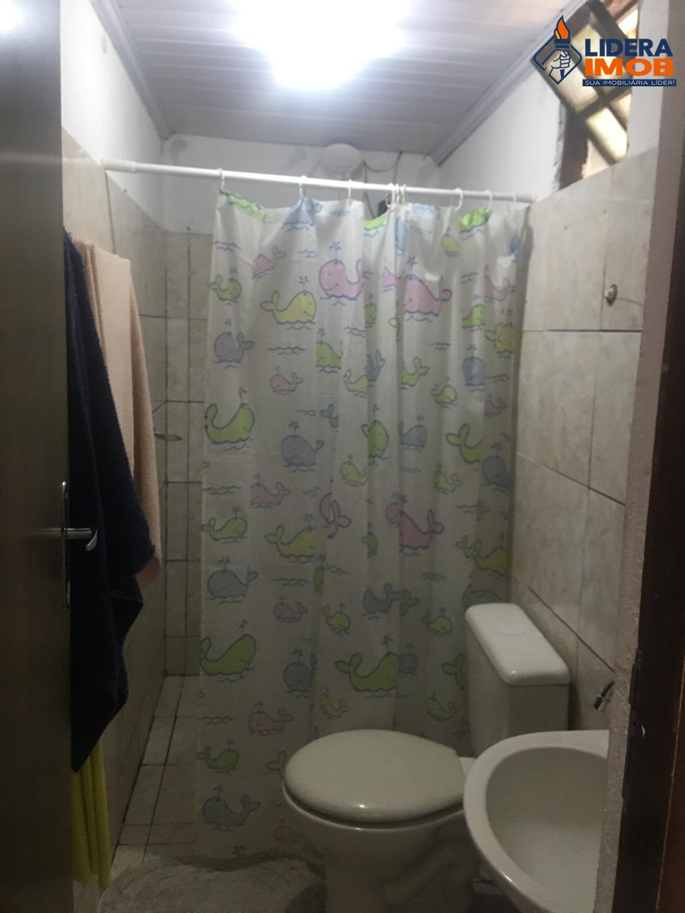 Chácara, 3 quartos, 600 m² - Foto 4