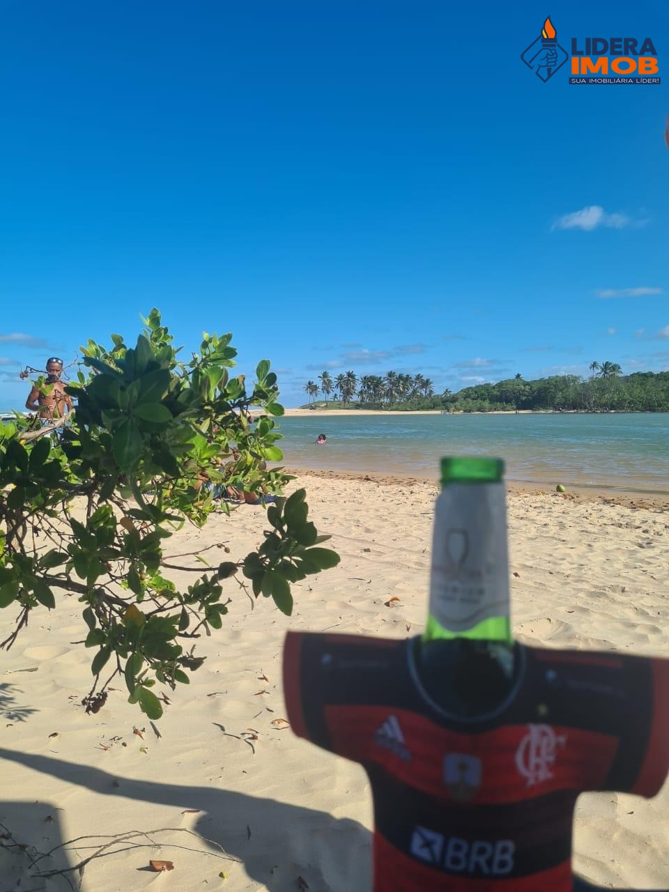 Casa, 4 quartos, 600 m² - Foto 17