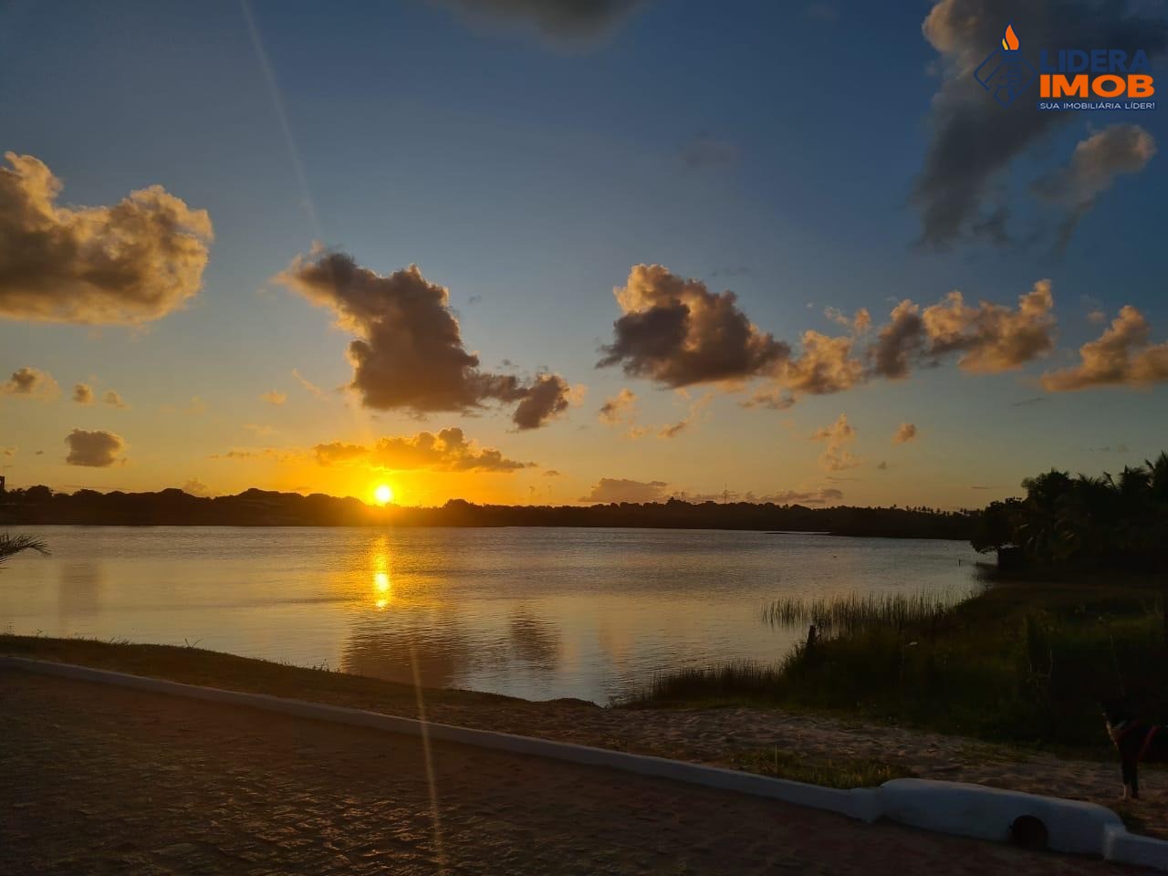 Casa, 4 quartos, 600 m² - Foto 25