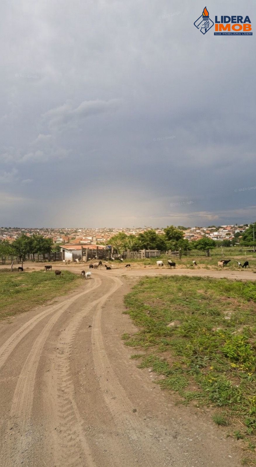 Terreno, 38 hectares - Foto 2