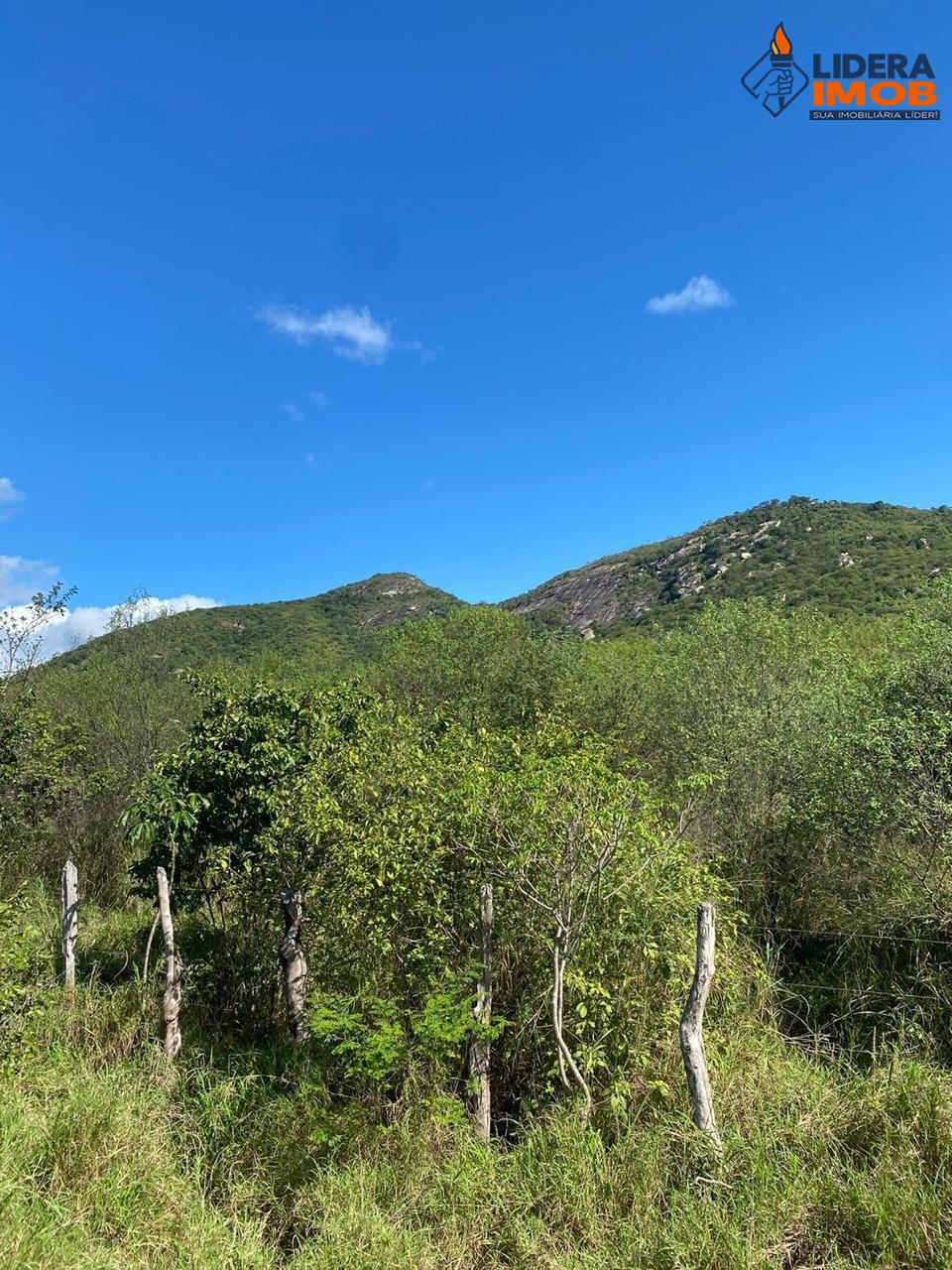 Fazenda, 1 hectares - Foto 41