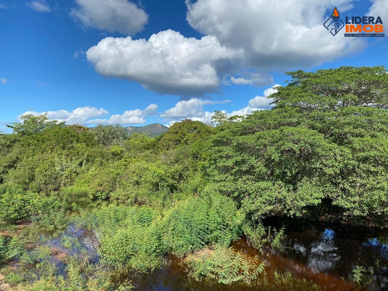 Fazenda, 1 hectares - Foto 32