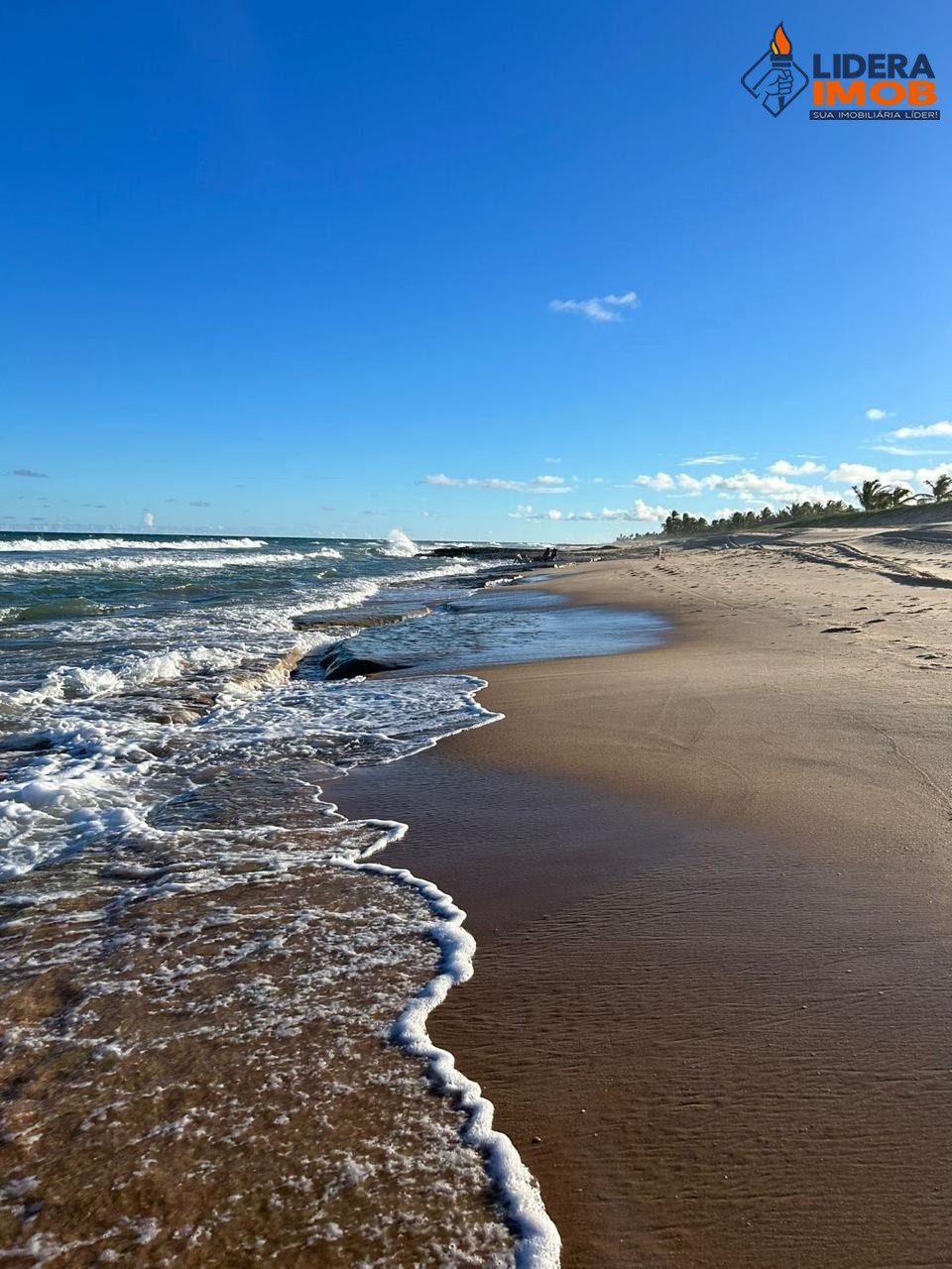 Casa, 4 quartos, 600 m² - Foto 10