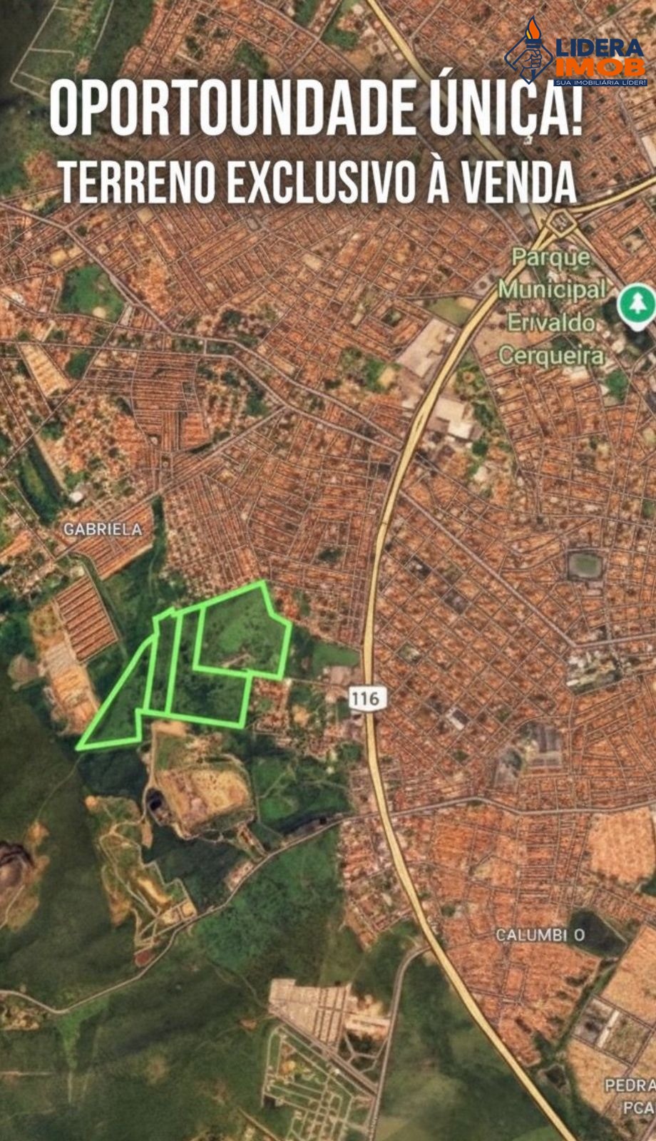 Terreno, 38 hectares - Foto 1