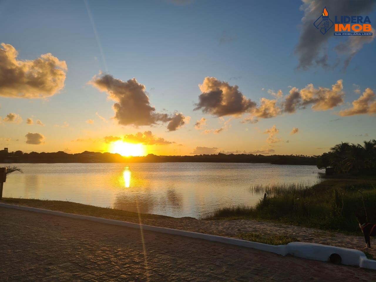 Casa, 4 quartos, 600 m² - Foto 15