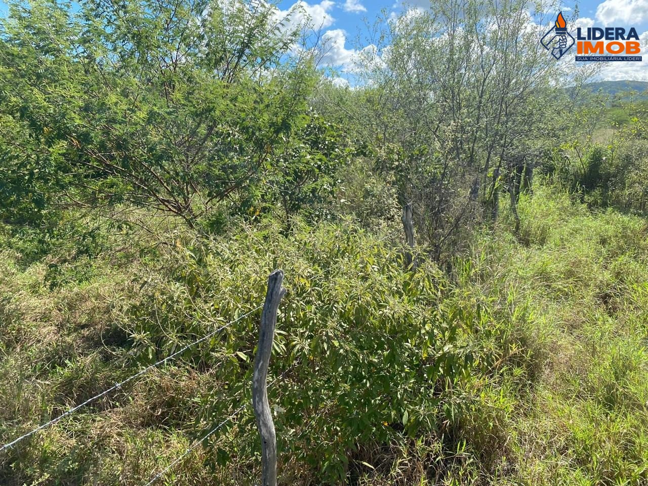 Fazenda, 1 hectares - Foto 38