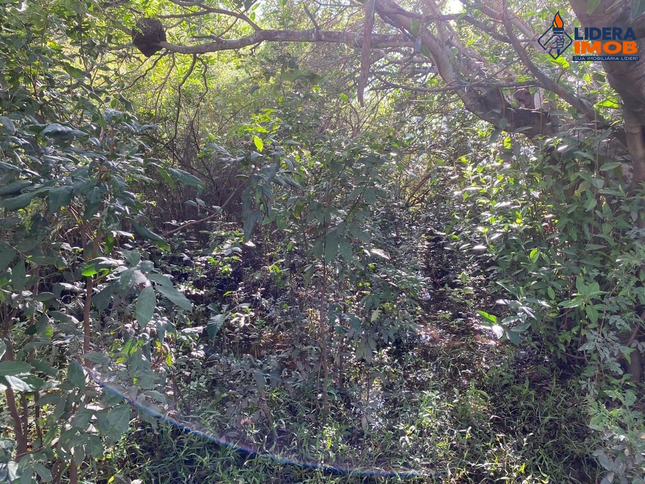 Fazenda, 1 hectares - Foto 43