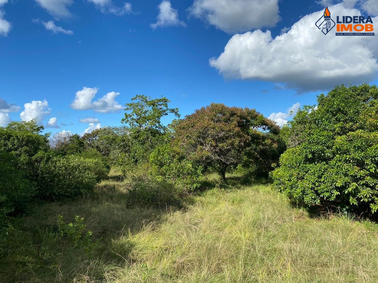 Fazenda, 1 hectares - Foto 36
