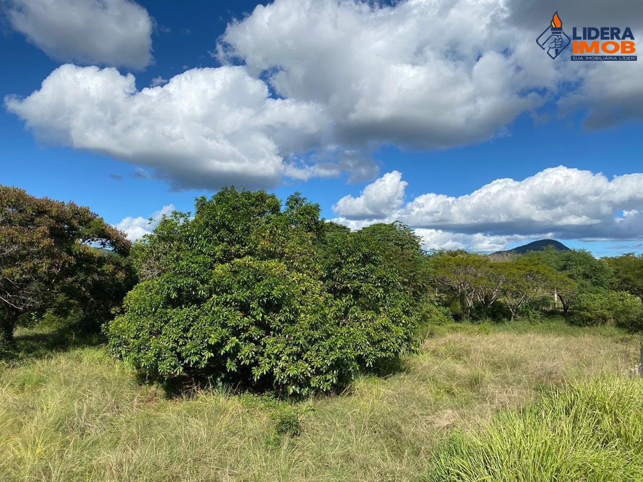Fazenda, 1 hectares - Foto 27