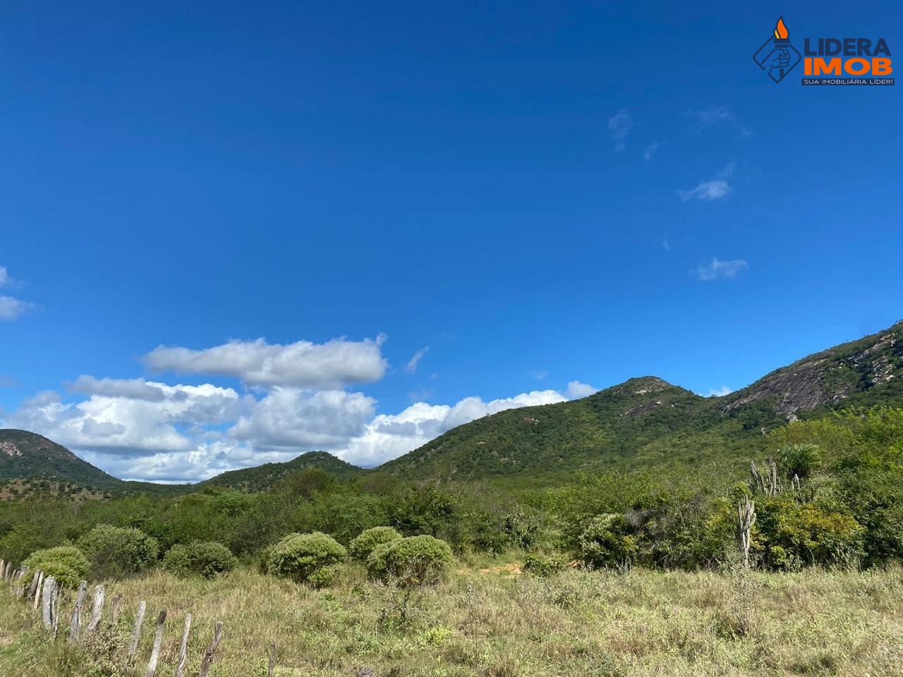 Fazenda, 1 hectares - Foto 37