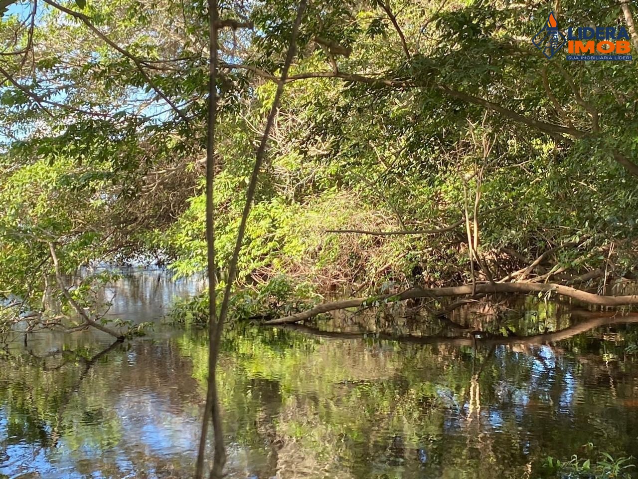 Fazenda, 1 hectares - Foto 45