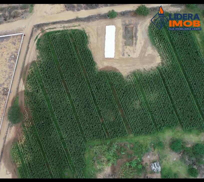 Fazenda, 1 hectares - Foto 17