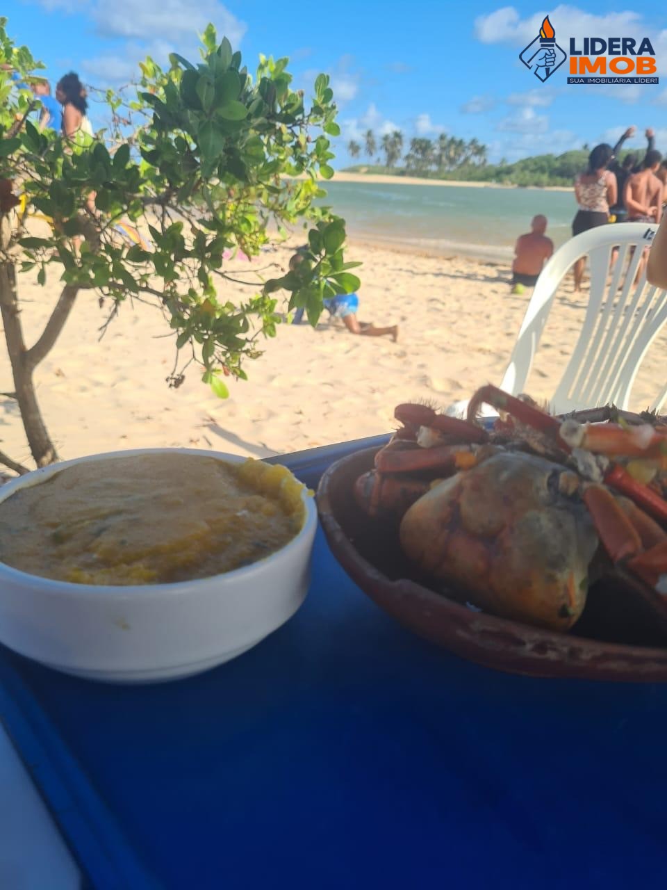 Casa, 4 quartos, 600 m² - Foto 16