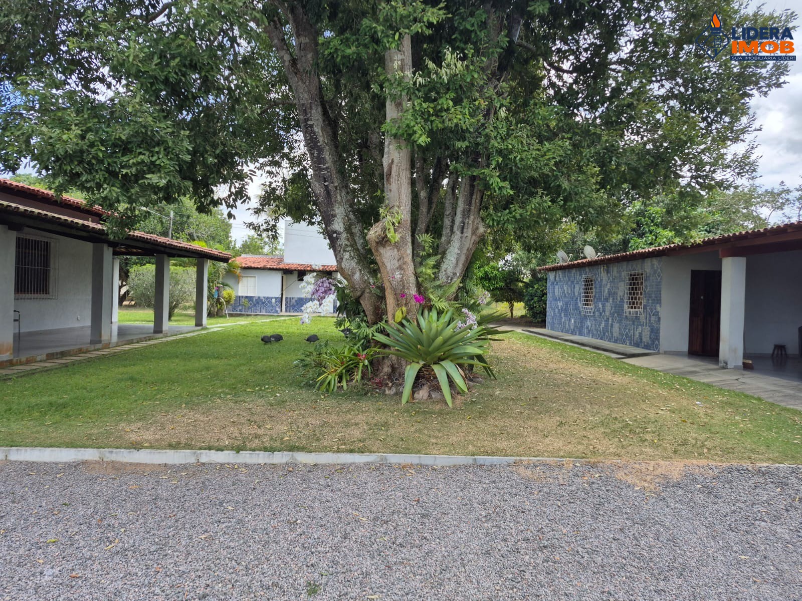 Chácara, 4 quartos, 10000 m² - Foto 24