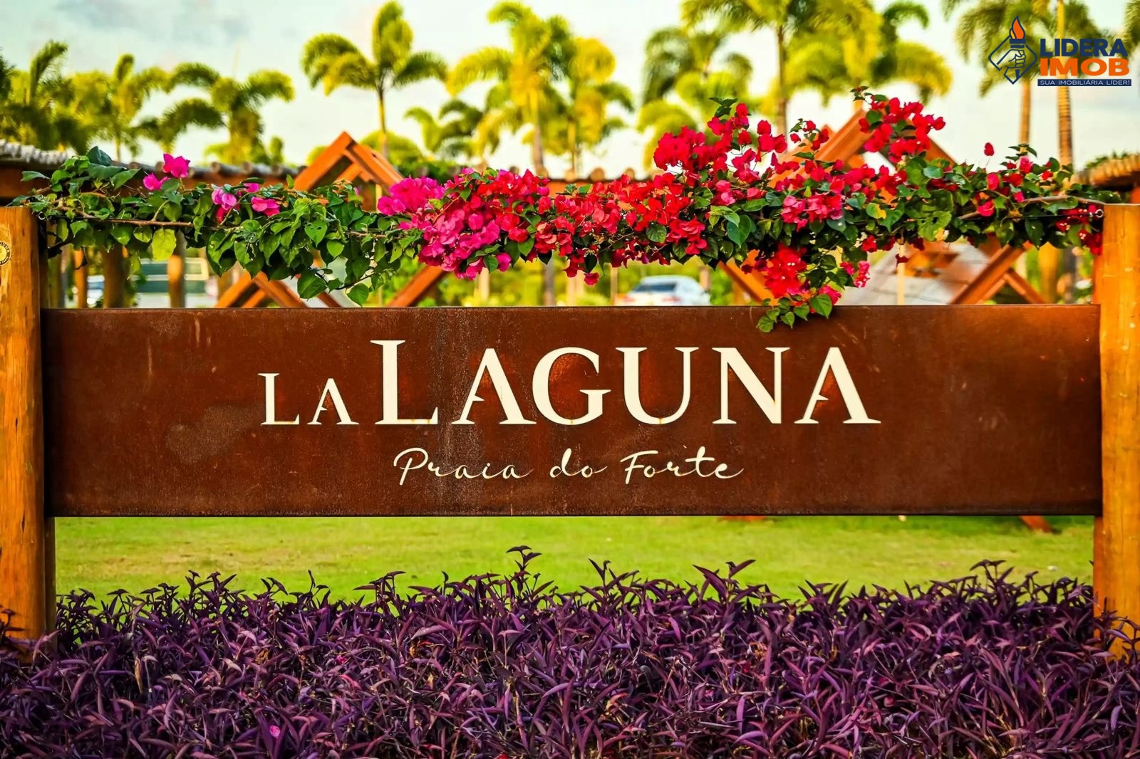 Terreno, 800 m² - Foto 1