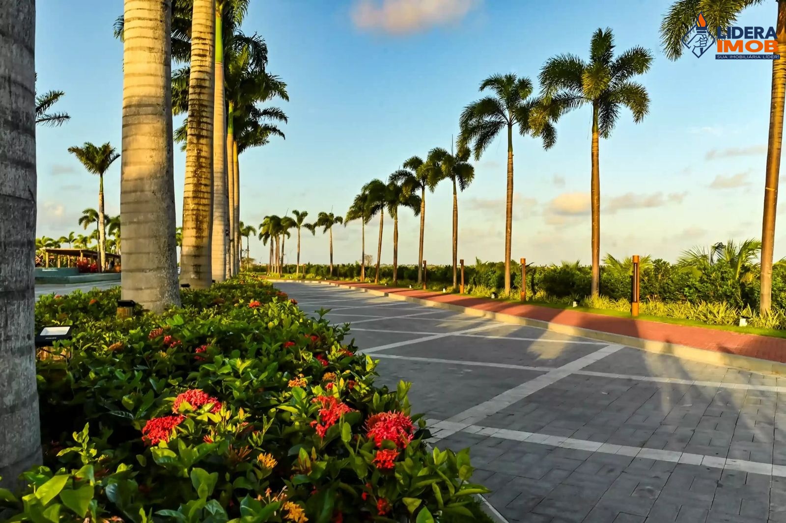 Terreno, 800 m² - Foto 20