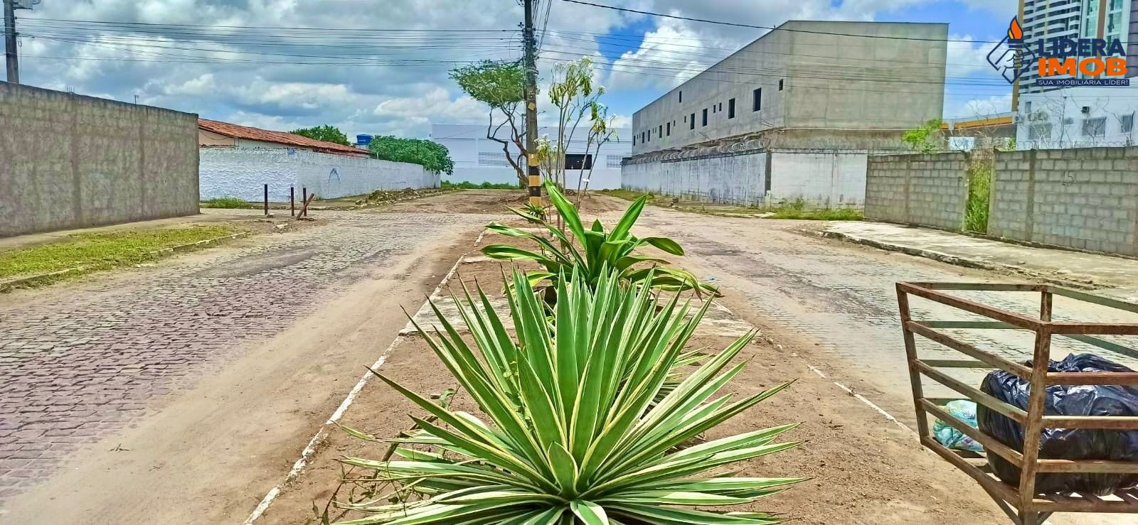 Casa, 4 quartos, 250 m² - Foto 21