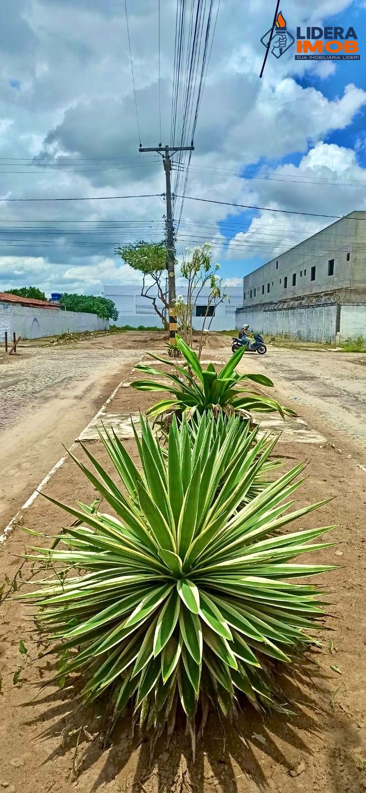 Casa, 4 quartos, 250 m² - Foto 22