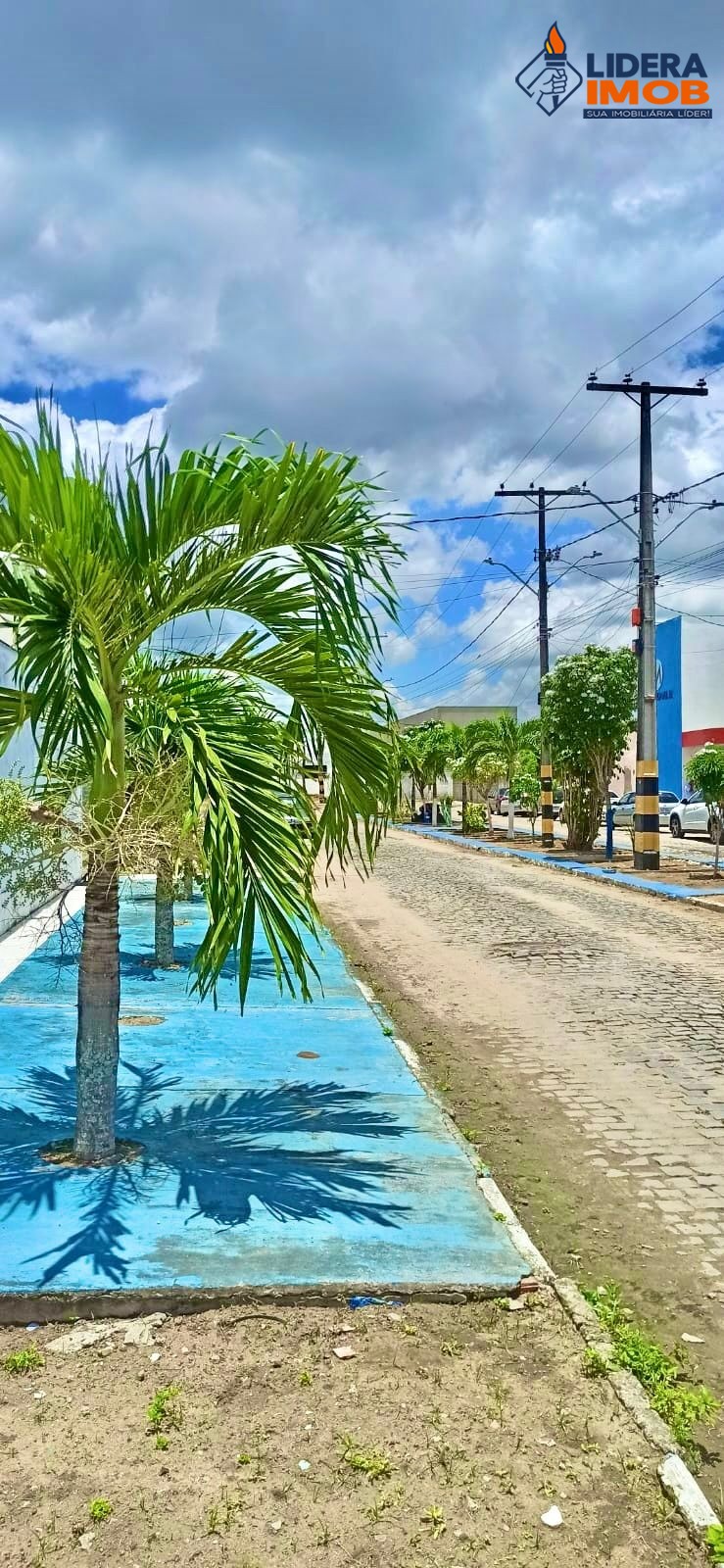 Casa, 4 quartos, 250 m² - Foto 24