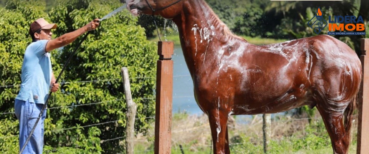 Terreno, 525 m² - Foto 4