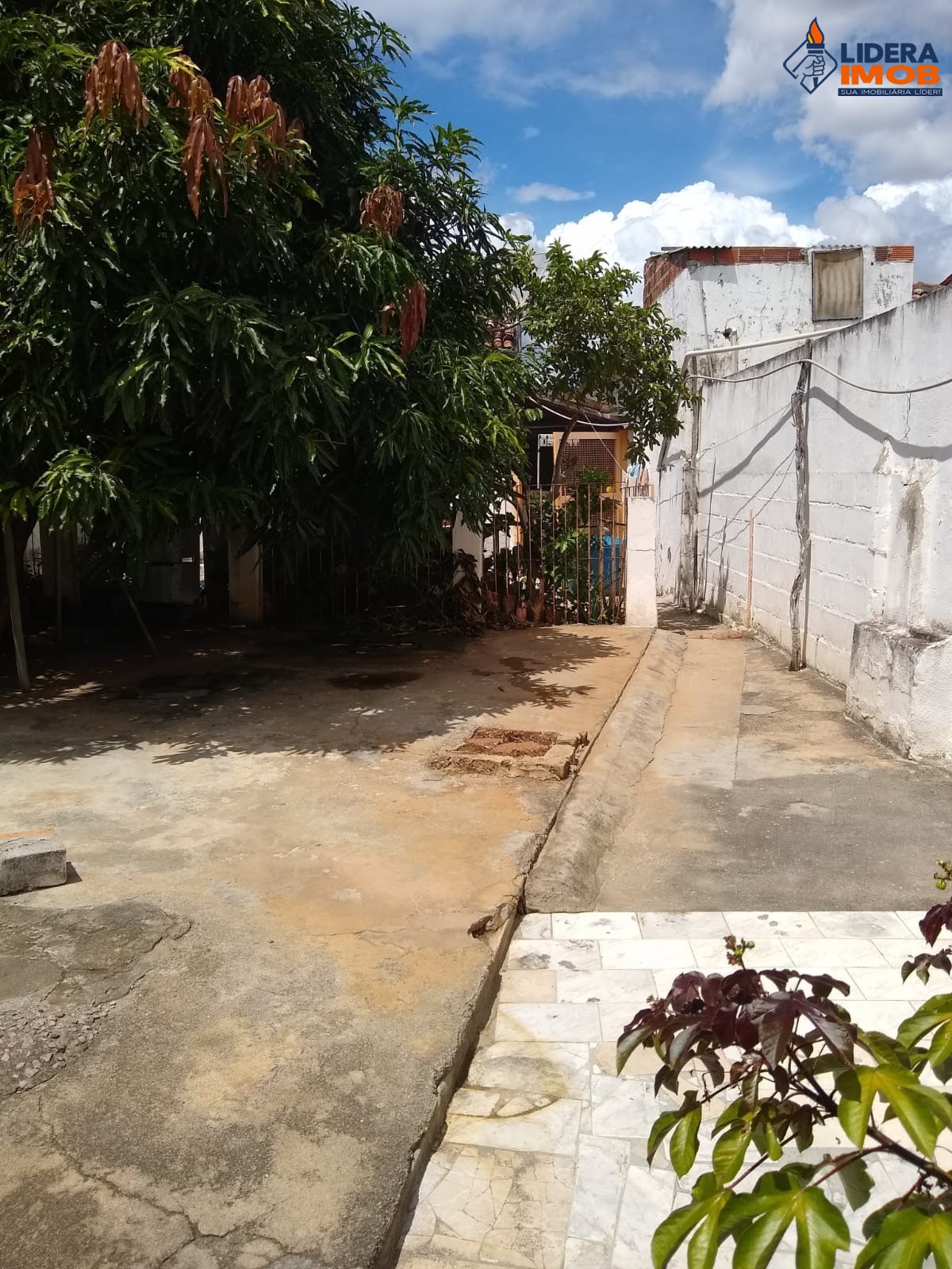 Casa, 1 quarto, 248 m² - Foto 3