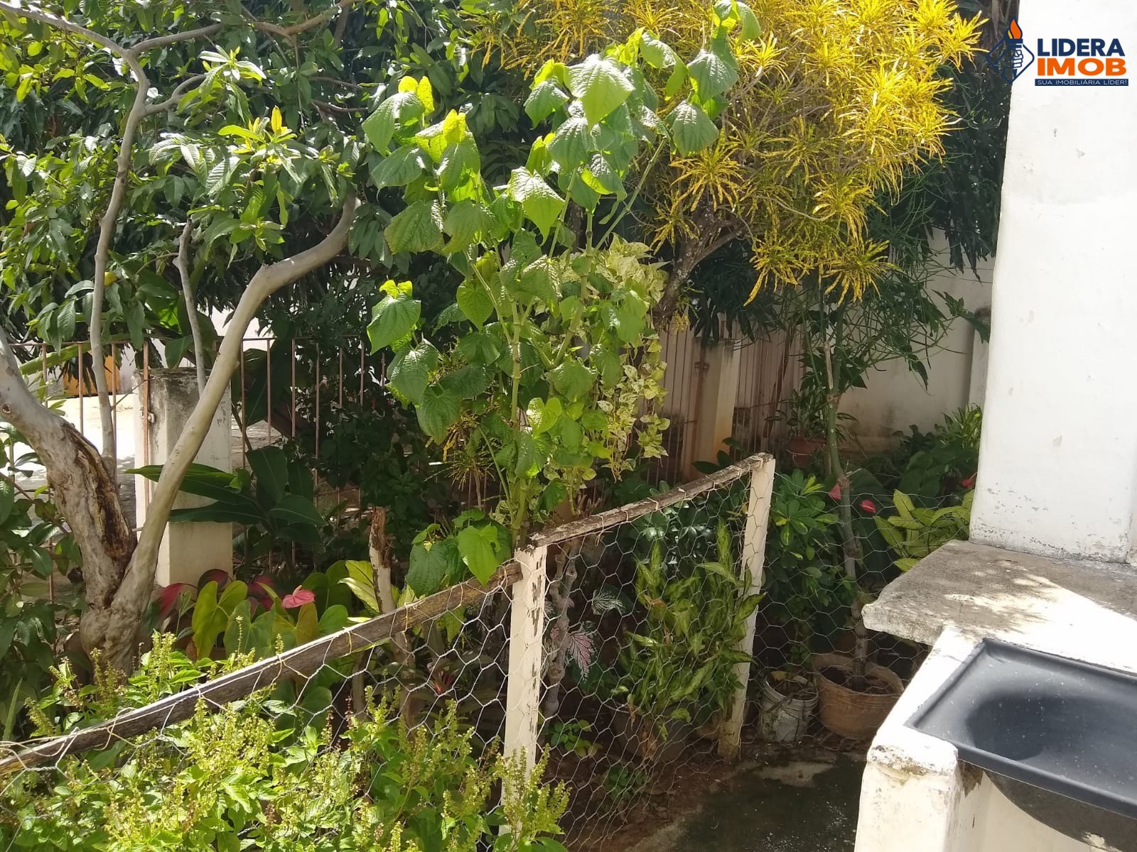 Casa, 1 quarto, 248 m² - Foto 6