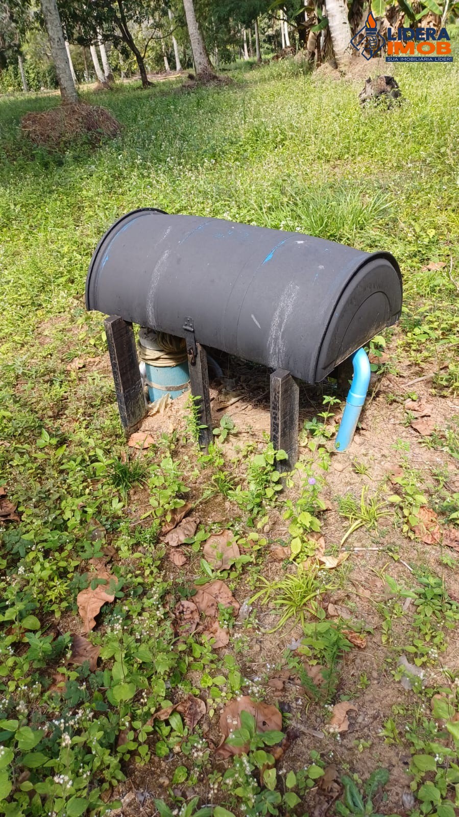 Fazenda, 14 hectares - Foto 9