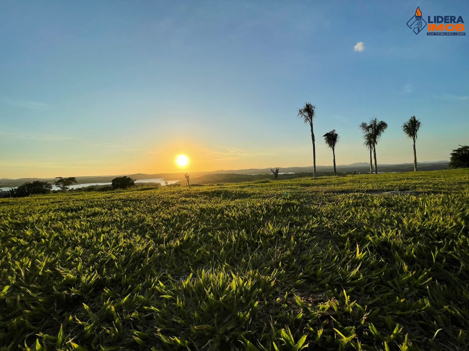 Terreno, 600 m² - Foto 5