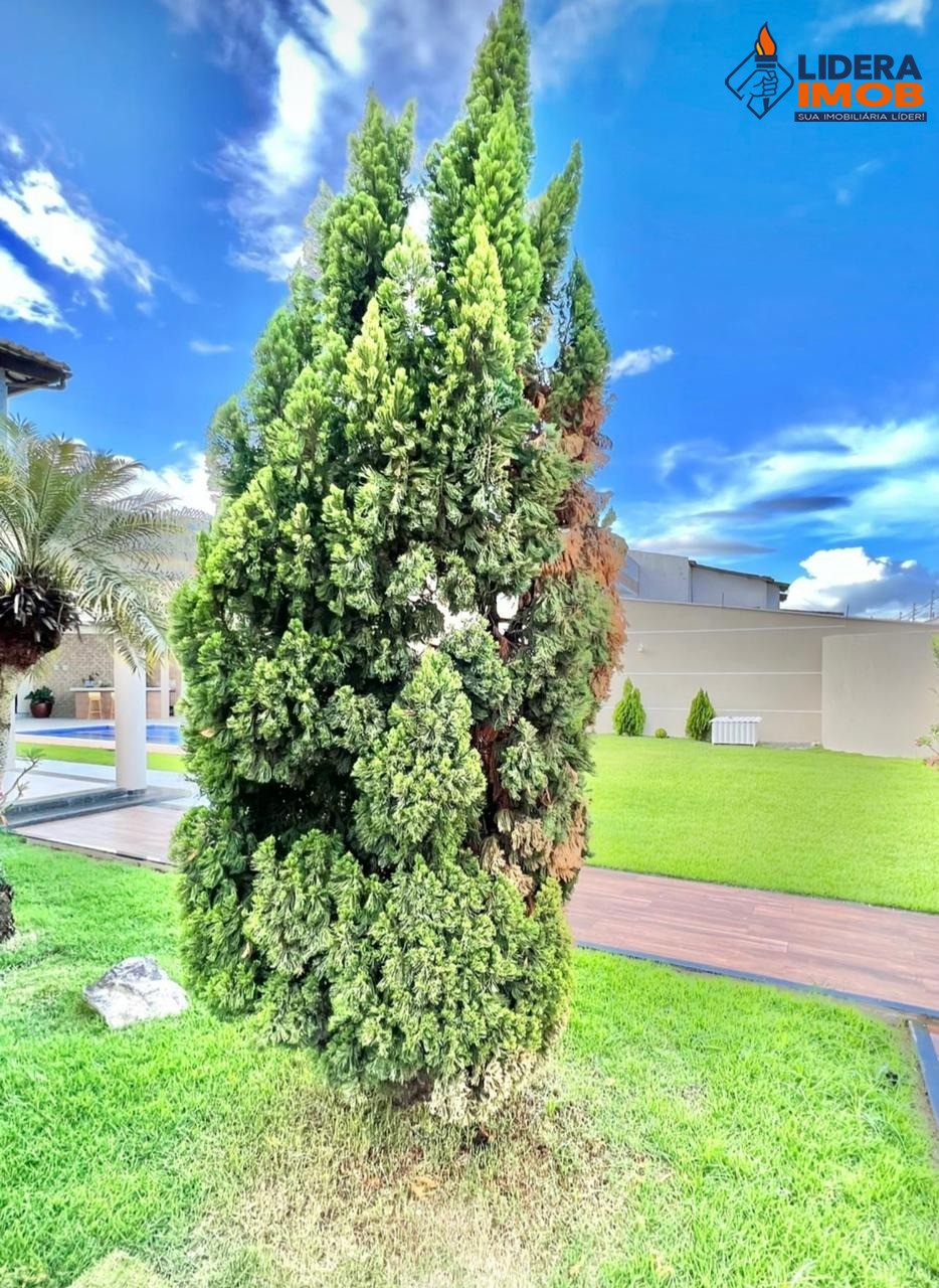 Casa, 3 quartos, 900 m² - Foto 3