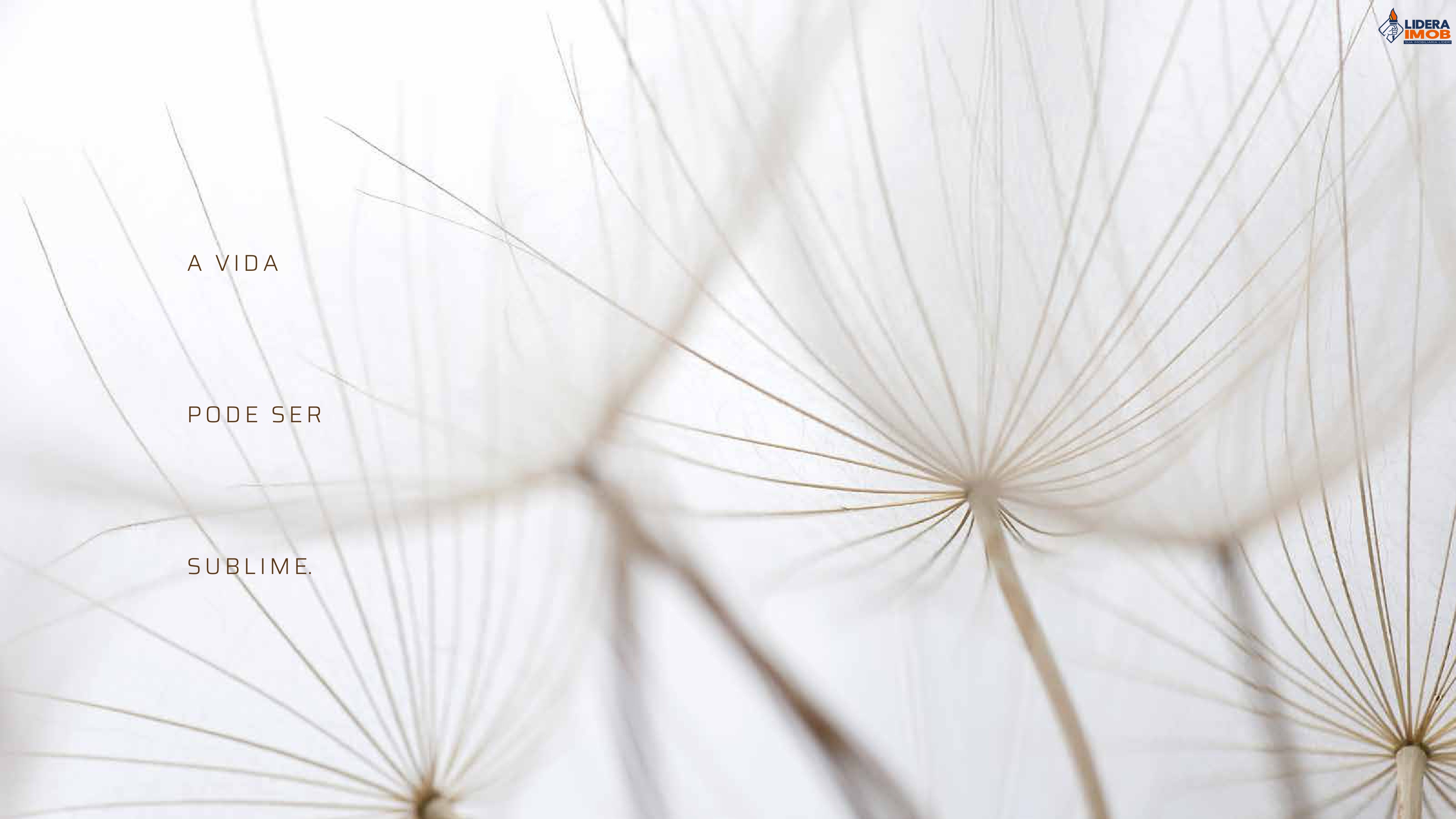 Apartamento, 4 quartos, 225 m² - Foto 3