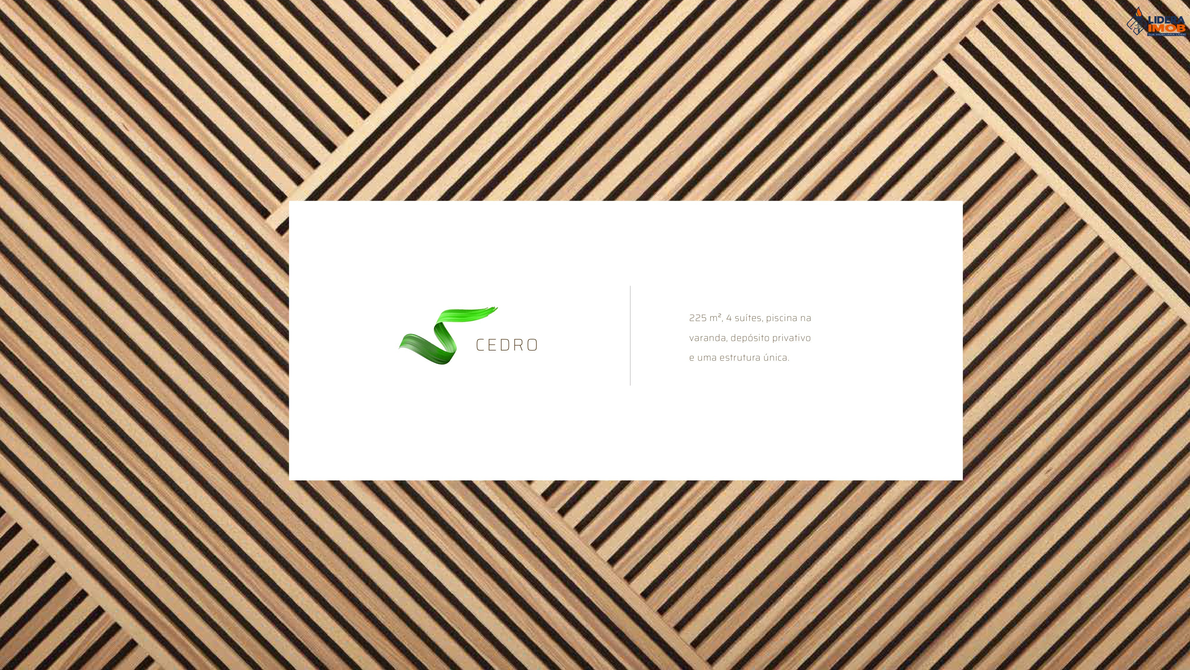 Apartamento, 4 quartos, 225 m² - Foto 59